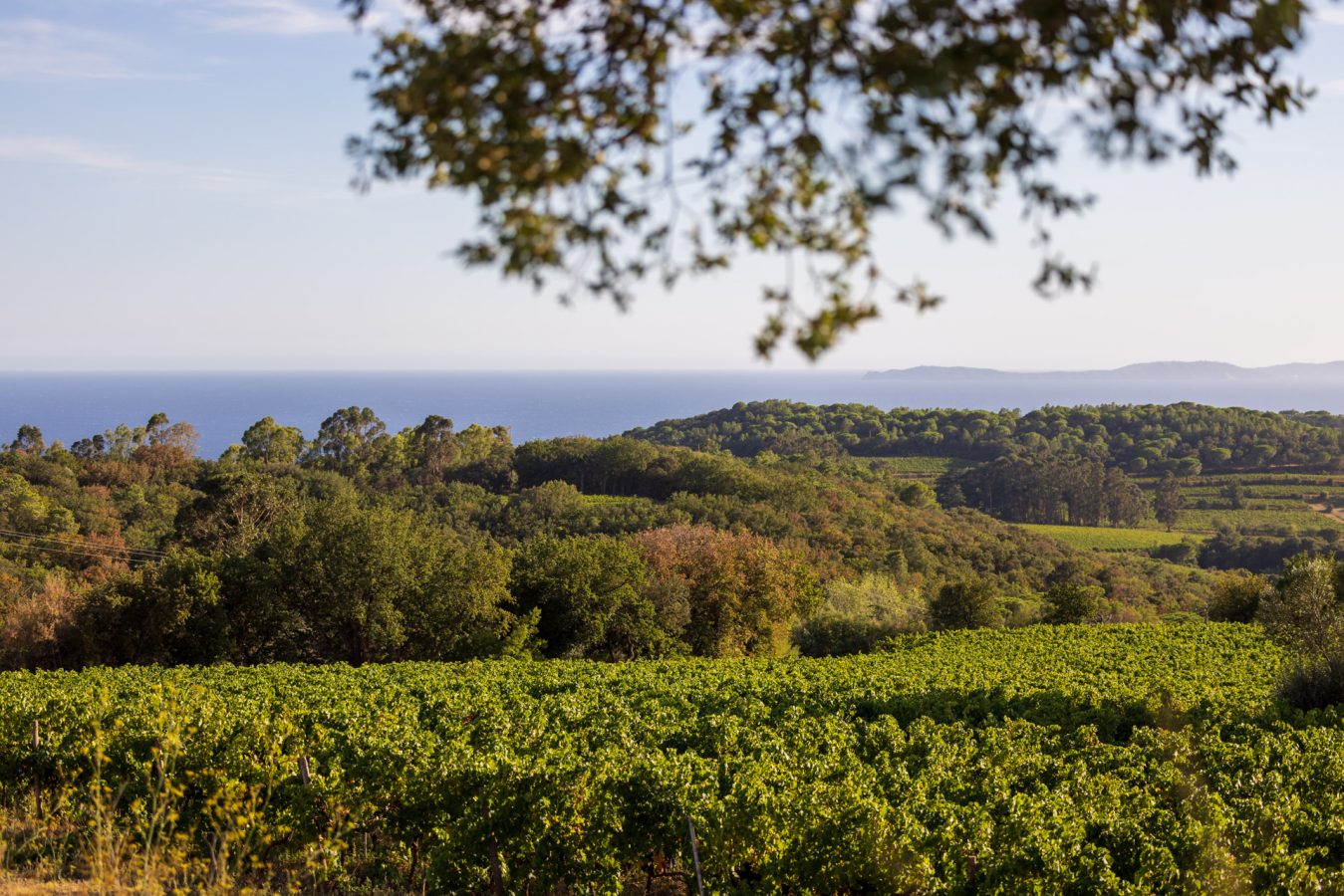 Domaine de la Croix