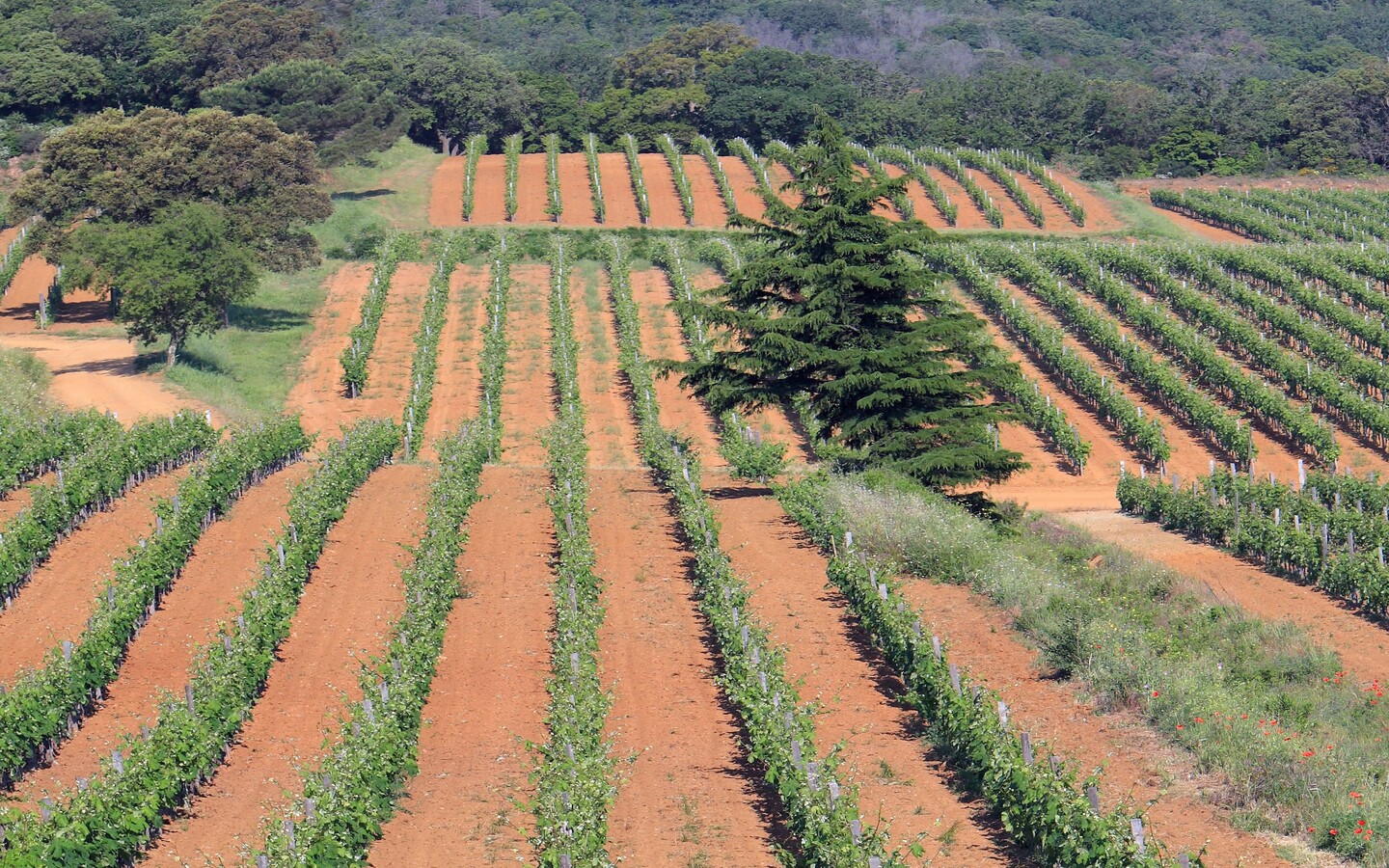 Au Rythme Des Saisons