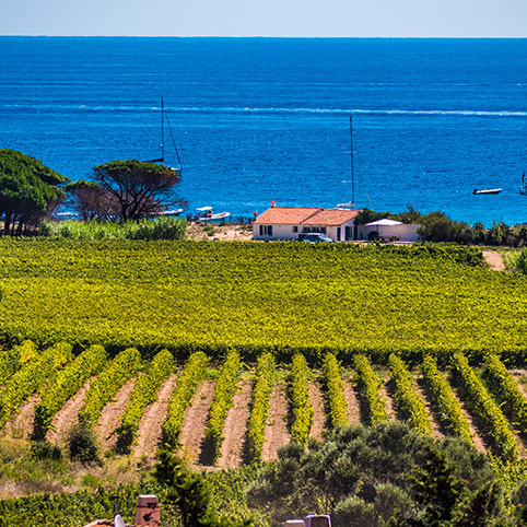 Visuel Fond Bastide Blanche