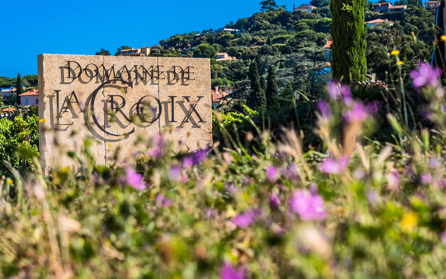 Logo du Domaine de La Croix dans les vignes2